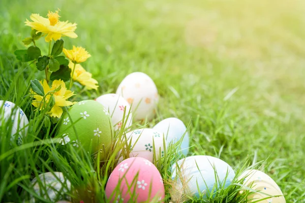 Happy easter!  Closeup Colorful Easter eggs in nest — Stock Photo, Image