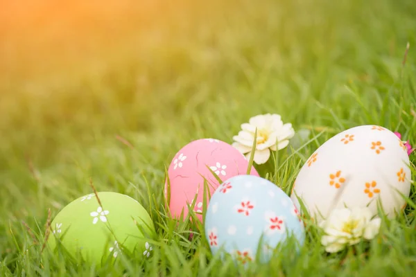 Καλό Πάσχα! Closeup πολύχρωμα Πασχαλινά αυγά σε φωλιά — Φωτογραφία Αρχείου