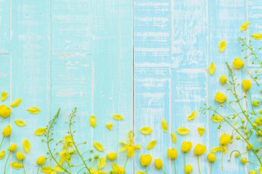 Pastel parlak mavi ahşap zemin üzerine sarı çiçek. 