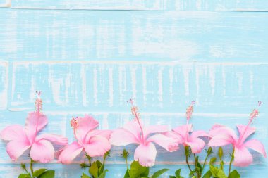 Pastel parlak mavi ahşap zemin üzerine pembe ve beyaz çiçekler