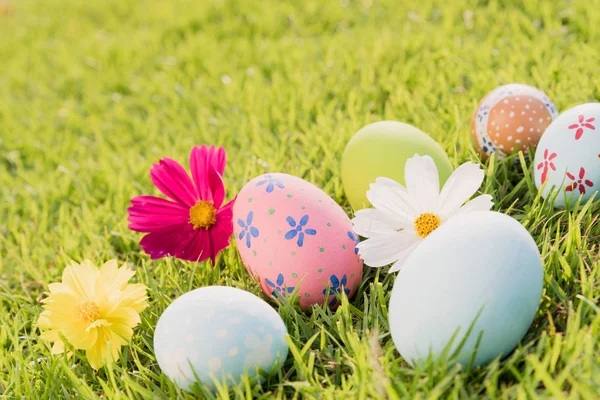 Happy easter!  Closeup Colorful Easter eggs on green grass field — Stock Photo, Image