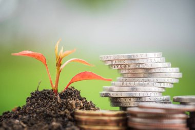 Yeşil cam arka plan üzerinde bebek ağacıyla sikke yığını