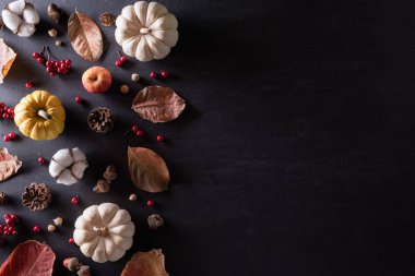 Sonbahar akçaağaç yaprakları, balkabağı ve kırmızı böğürtlenli siyah ahşap arka plan. Şükran Günü konsepti.