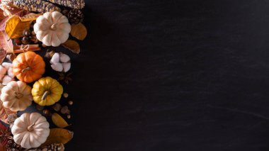 Sonbahar akçaağaç yaprakları, balkabağı ve kırmızı böğürtlenli siyah ahşap arka plan. Şükran Günü konsepti.