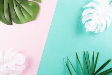 Palmiye yaprakları ve canavar yapraklarıyla dolu tropikal bir arka plan. Metin yaz konsepti için yeri olan en düşük moda. Düz yatıyordu.