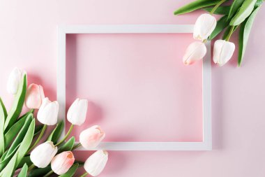Anneler Günün kutlu olsun, Kadınlar Günü ya da Sevgililer Günü karşılama konsepti. Resim çerçeveli Pastel Pembe Renkler Arkaplan ve laleler düz desenler.