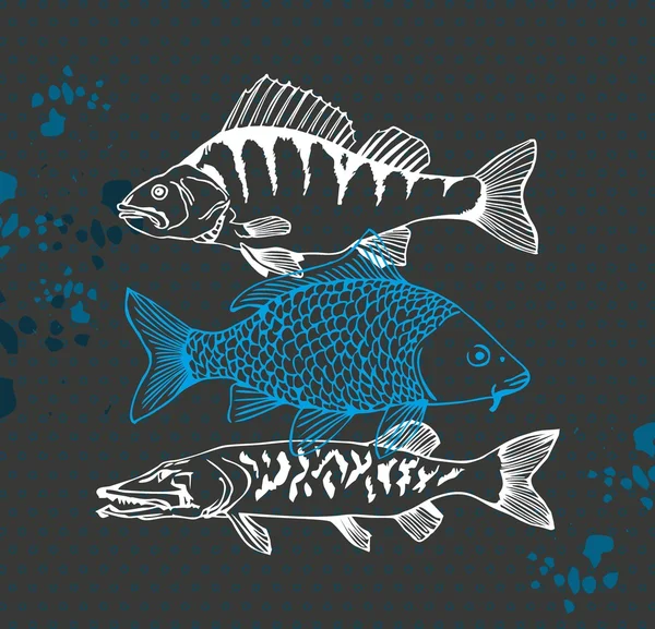 鲈鱼，鲤鱼和狗鱼矢量鱼图 — 图库矢量图片