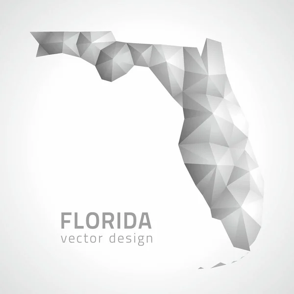 Florida grey en silver shadow vector mozaïek 3D-kaart — Stockvector