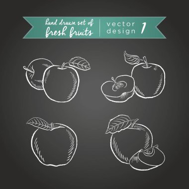 Elma. Vektör elle çizilmiş kroki taze meyve illüstrasyon yazı tahtası üzerinde topluluğu. Isollated