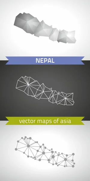 Nepál Sor Szürke Ezüst Mozaik Sokszögű Térképek Vektor Grafikus Háromszög — Stock Vector