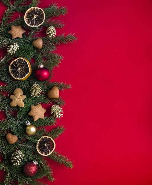 На красном фоне зеленые елки, украшенные рождественскими пряниками, золотыми конусами, апельсинами и шариками — стоковое фото