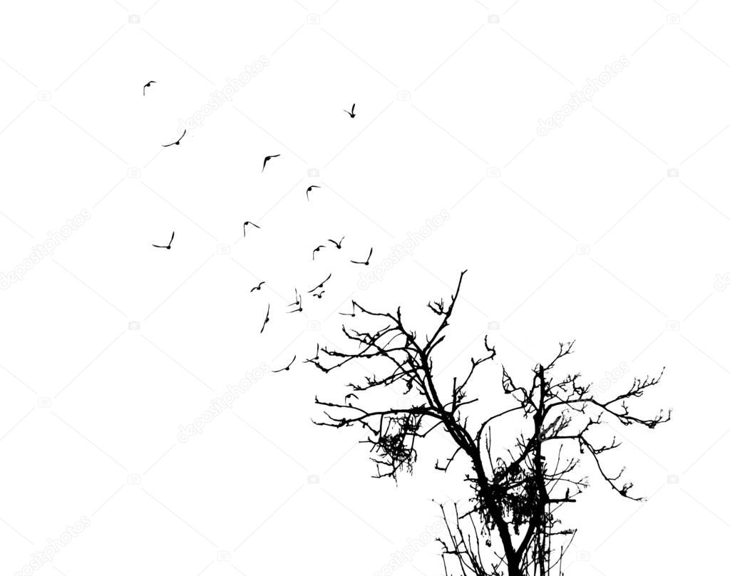 on a white background silhouette of a tree and birds fly like branches of a tree  