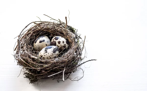 Hnízdo s třemi Křepelčí vejce na tabulku obchodních — Stock fotografie