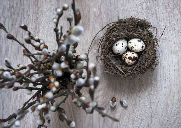 Auf einem Holztisch liegt ein Nest mit Eiern und eine Vase mit Weidenzweigen — Stockfoto