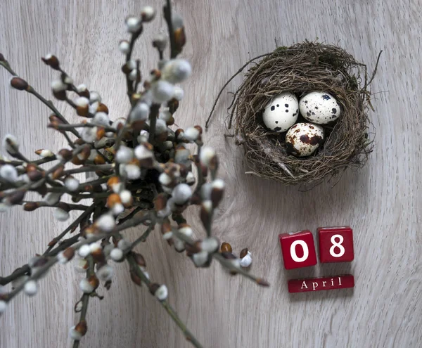 Egy fából készült asztal fekszik egy fészek tojással, és áll egy váza, fűzfa ág naptár húsvéti kockák április — Stock Fotó