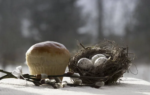 A fűzfa ága, fürj tojás húsvéti fészek tekercs cukrászati sütemény — Stock Fotó