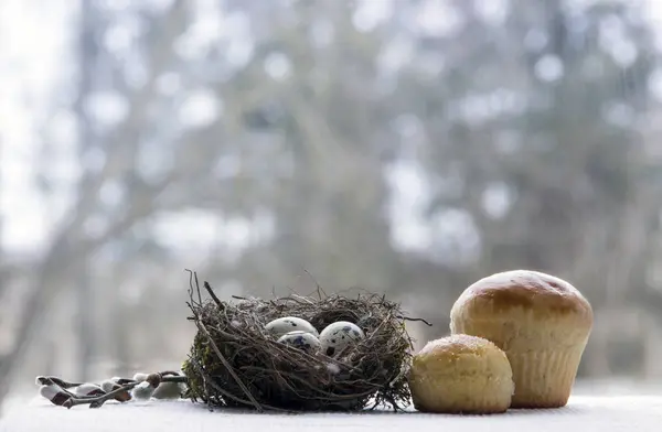 Easter nest with quail eggs Willow branches Pies cake — Stock Photo, Image