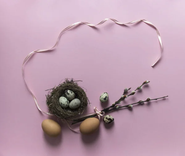 A rózsaszín háttér fűzfa ágakat kivirágzott tojás csirke fészket három tojást színes felülnézeti szalag íj rózsaszín ovális fürj — Stock Fotó