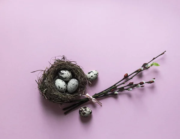 A rózsaszín háttér fűzfa ágakat kivirágzott levél zöld tojást fürj fészket három tojást színes felülnézeti szalag íj rózsaszín — Stock Fotó