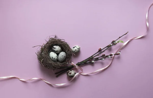 On a pink background, willow branches blossomed leaf green eggs quail nest with three eggs color view from above ribbon bow pink — Stock Photo, Image