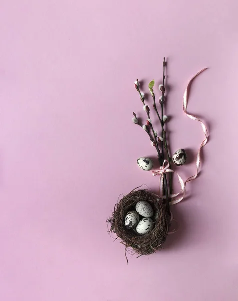 On a pink background, willow branches blossomed leaf green sheet eggs quail nest three eggs color view from above ribbon bow pink — Stock Photo, Image