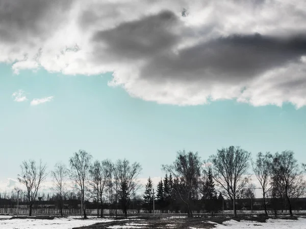 cloudy cloudy day sky clouds cloudy clouds blue snow melting strip of trees village of Christmas trees birch road background horizontal