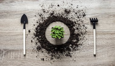 ahşap arka plan kavramı earth daire çanak kaşık kürek çatal komisyon doku çiçek yeşillik salatası bahar yatay dikim kazıklı