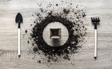 ahşap arka plan kavramı earth daire çanak kaşık çatal çatal komisyon doku turba tablet tohumları kabak pot bahar dikim topraklı