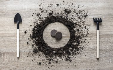 ahşap arka plan kavramı earth daire çanak kaşık çatal çatal komisyon doku turba tablet tohumları kabak pot bahar dikim topraklı