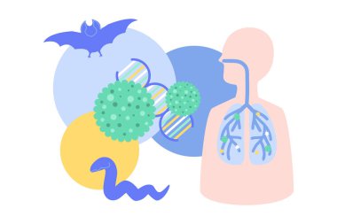 DNA, yarasa ve yılan içeren virüs parçacığının Coronavirus konsepti ile ilgili konseptsel bilgileri yarasa ve yılandan evrimleşmiştir.