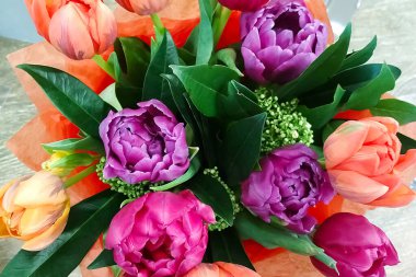 Parlak renkli laleler, yakın plan. Bahar konsepti Yumuşak odak.