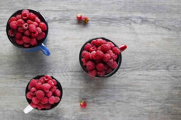 Ripe Organic Raspberries Blue Red White Metal Mugs Gray Background — Stock Photo, Image