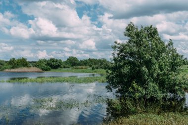 nehir, sel, ağaç, gökyüzü, bulutlar, güzel manzara