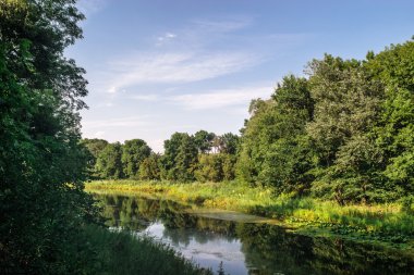 Bulutlar ile nehir, orman ve gökyüzü ile doğal manzara