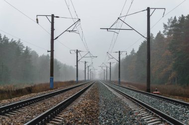 Sisli bir sonbahar gününde ormandaki demiryolu