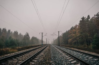Sisli bir sonbahar gününde ormandaki demiryolu