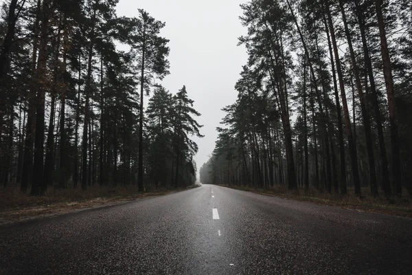 乡村道路穿过秋天森林在雾中 — 图库照片