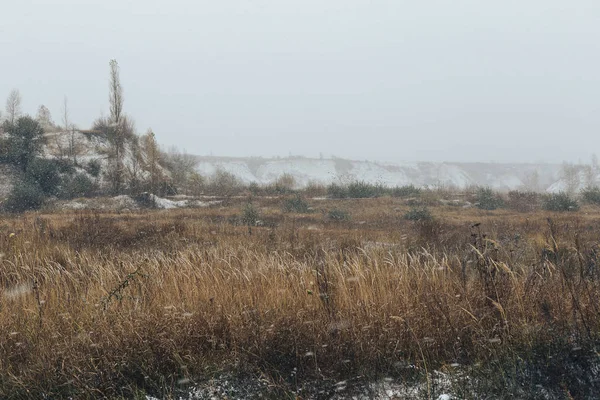 Paysage hivernal avec herbe jaune au premier plan, neige — Photo