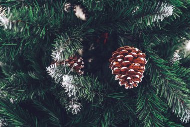 koniler ile Noel ağacı dalı. Moody koyu tonda tatil resim