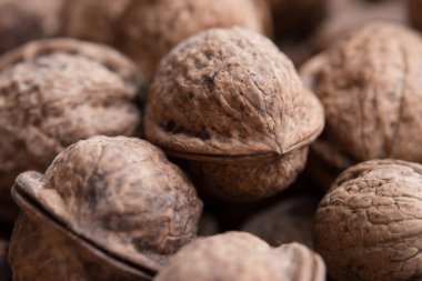 Arka plan veya desen birçok yakın ceviz. Yakın çekim veya makro fotoğraf. 