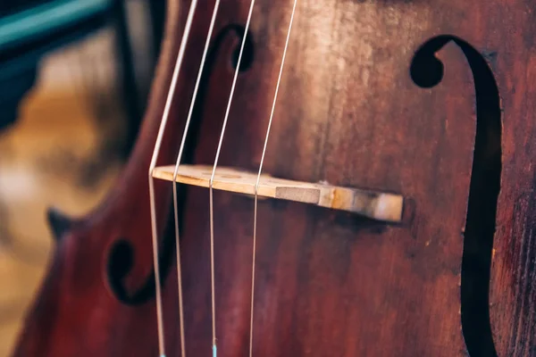 Primer plano de cuerdas de violonchelo — Foto de Stock