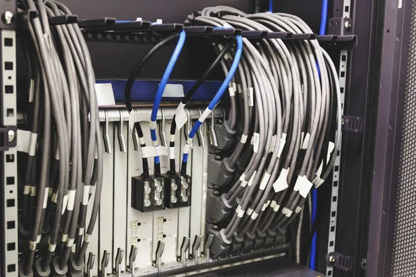 Servidor de red de fibra, Cables ópticos, Equipo de hardware en el centro de datos, Tecnología moderna de Internet Informática — Foto de Stock