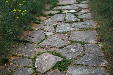 Taş patika arasında yoğun yeşil çimen