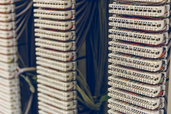 Panel síť, spínač pro kabel Datacenter — Stock fotografie