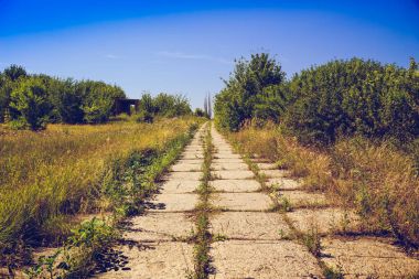 Yol beton döşeme, çim ile büyümüş. Sonrası kıyamet kavramı