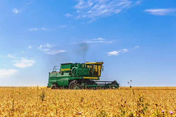 Gabungan pemanen bekerja pada gandum — Stok Foto