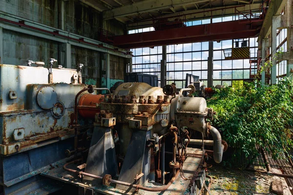 Abandoned factory overgrown with green plants, rusty machines and equipment