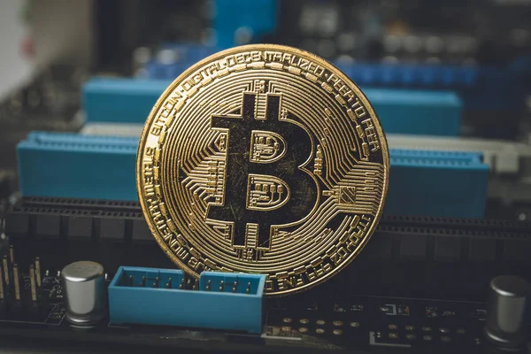 Arany Bitcoin érme, többek között a számítógép microschemes, internet money koncepció — Stock Fotó