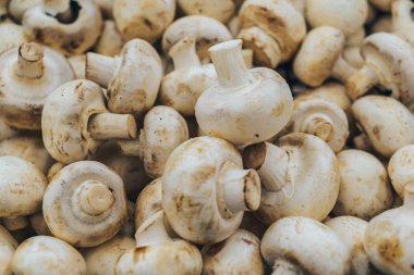 içinde belgili tanımlık çarşı taze petrol