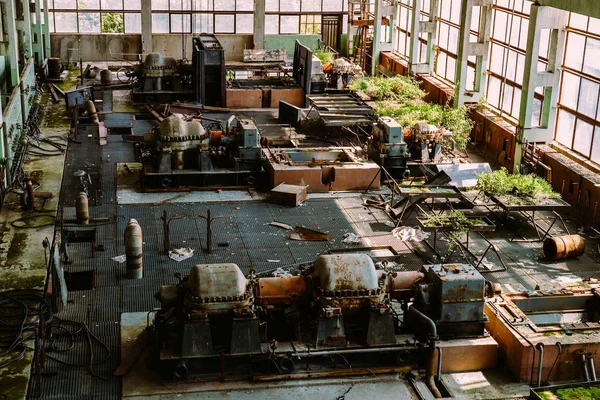 Pabrik terbengkalai ditumbuhi tanaman — Stok Foto